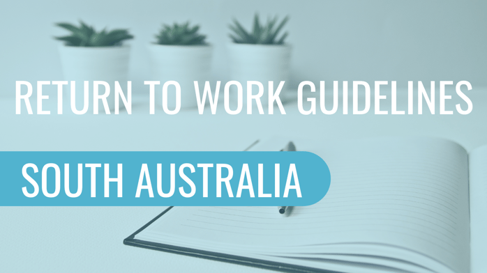 Return To Work Guidelines South Australia